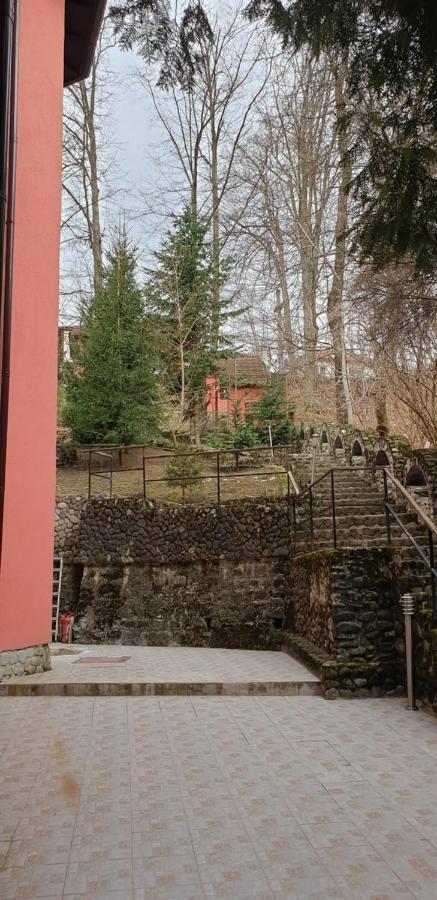 Băile Olăneşti Rosa Villa المظهر الخارجي الصورة