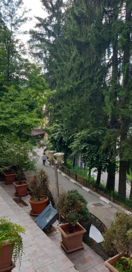 Băile Olăneşti Rosa Villa المظهر الخارجي الصورة