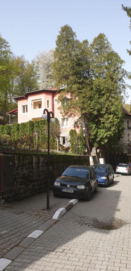 Băile Olăneşti Rosa Villa المظهر الخارجي الصورة