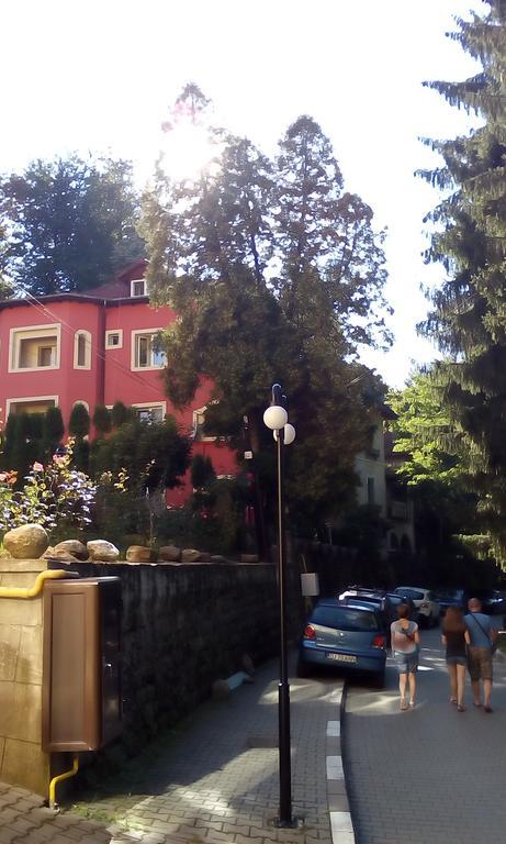 Băile Olăneşti Rosa Villa المظهر الخارجي الصورة